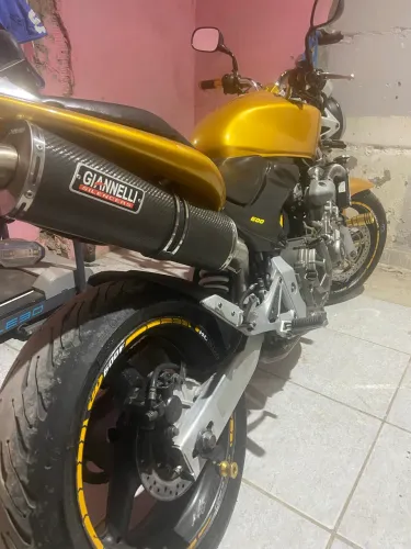 Hornet 2006