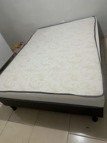 Cama