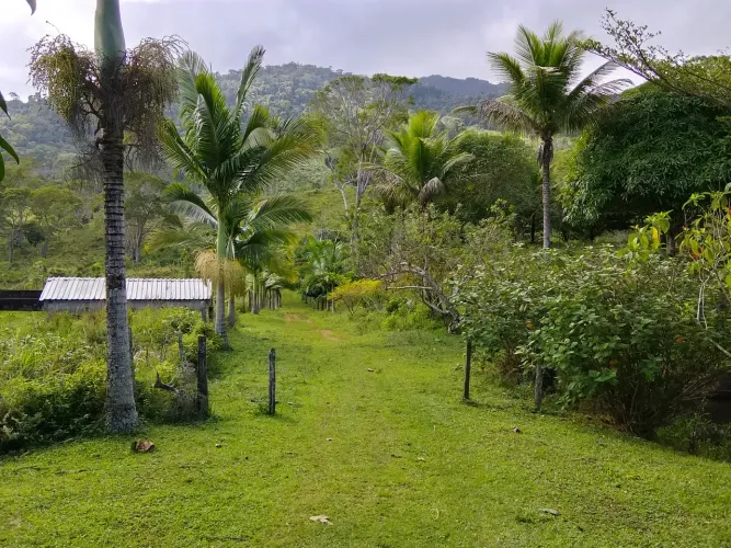Vendo boa fazenda em São José da vitória