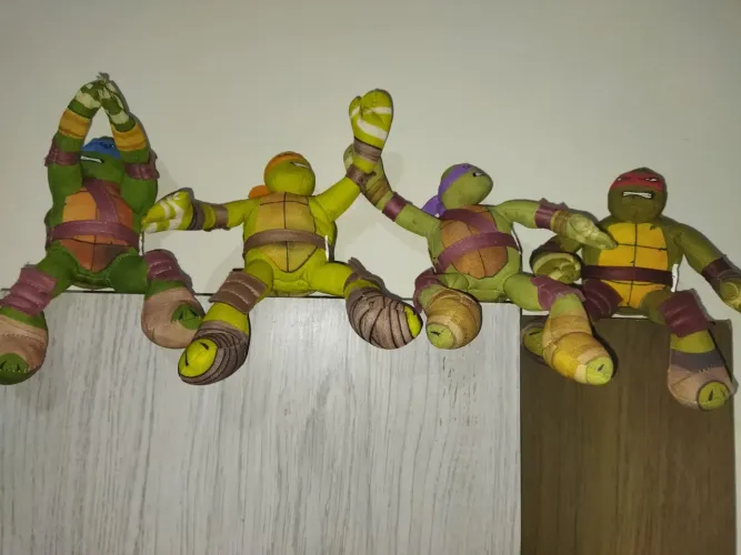 Brinquedo tartaruga ? ninguém.