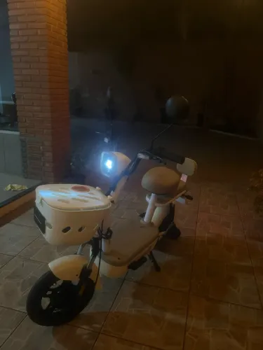 Autopropelido Duos Ace Bee 500w 48v 12ah Bateria de Litio Removível