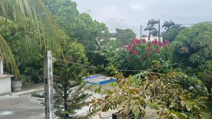 Vende-se Sítio com Casa de 3 Quartos em Bonsucesso, Olinda
