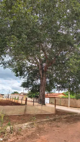 RESIDENCIAL SONHO DOURADO Brazabrantes GO prestação a partir de R$241.00