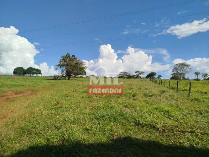 Chácara 37,500 M² em Caturaí - MG