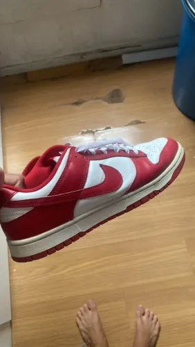 NIKE DUNK LOW RETRO GYM RED (USC)
