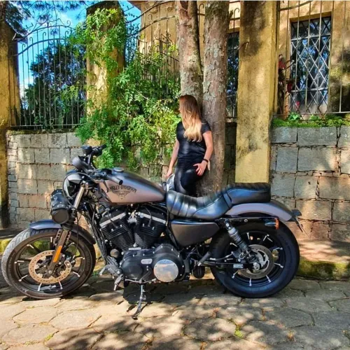 Harley Davison 883 Sportster  Iron 883