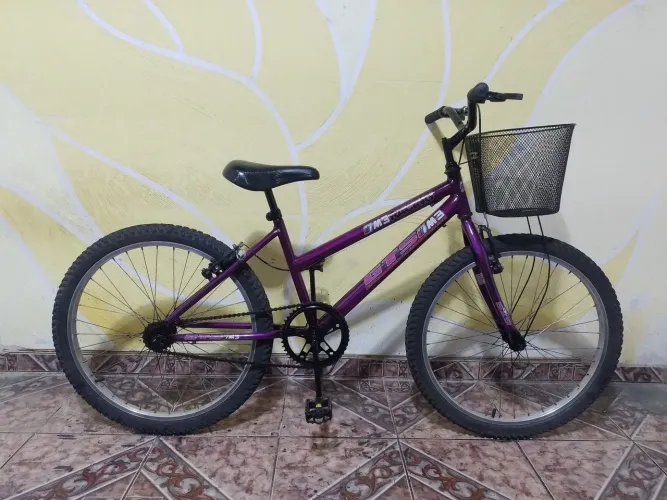 Bicicleta aro 24