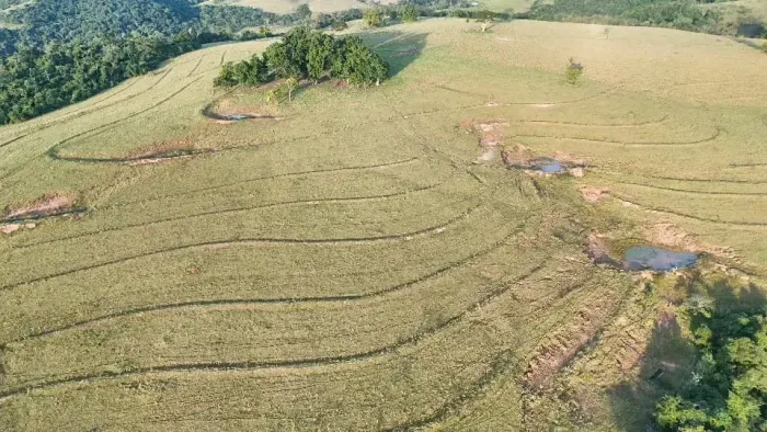 FAZENDA À VENDA PRESIDENTE ALVES/SP PECUARIA