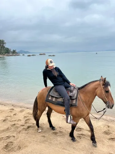 CAVALO CRIOULO BOM DE LAÇO