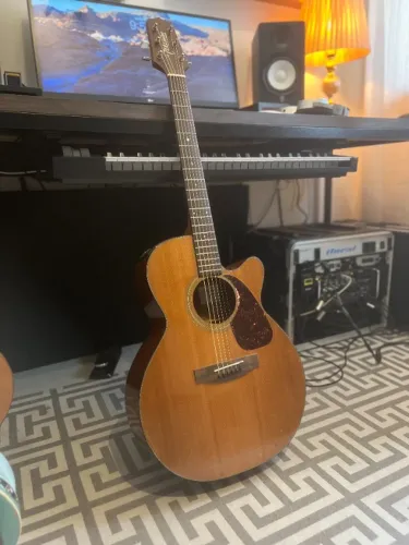 Violão Takamine G Series EG220C