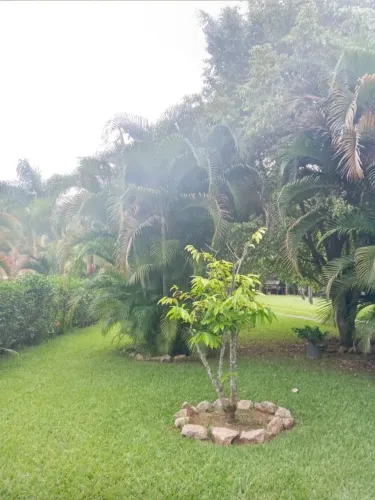 Área verde e sossegada