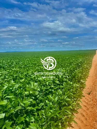 Fazenda de 2850 Alqueires, 45 km de Colinas