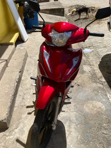 AVELLOZ 50cc
