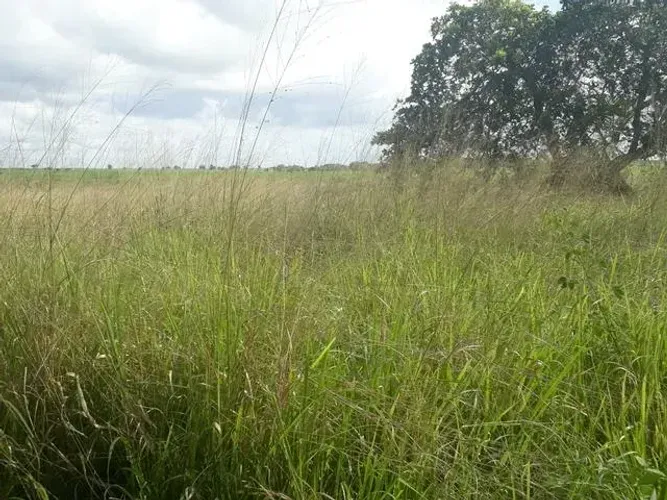 Fazenda com 95 hectares na região de vera cruz