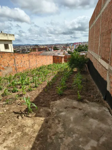 Terreno espetacular no Bairro Petrópolis , em Caruaru Pernambuco