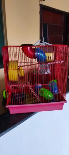 Gaiola de Hamster