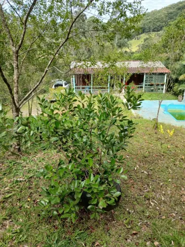 Sítio São Bonifácio