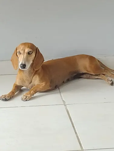 A procura de um namorado ! 