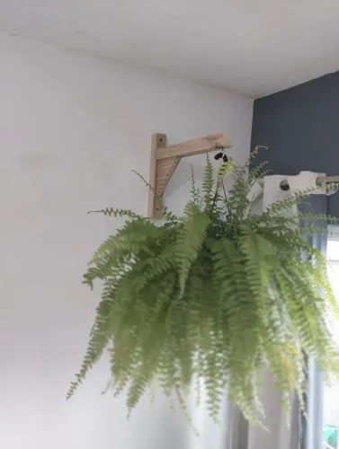 Suporte para plantas