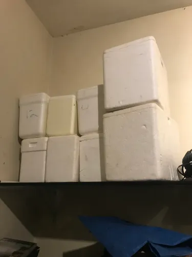 Caixas de isopor 