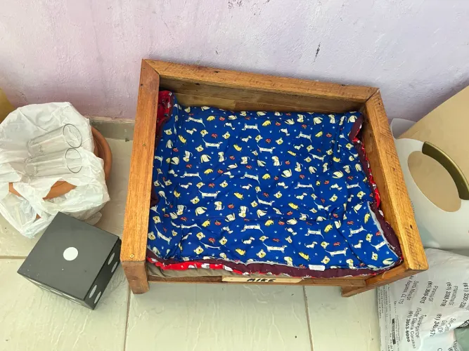 Uma cama para pet 55/45. Madeira, bem resistente.
