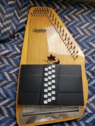 RARA Autoharp instrumento para cantores, de folk country musicoterapia etc