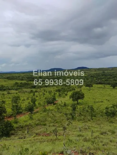Oportunidade! Chácara de 52,6 Hectares à Venda
