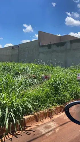 Terreno botânico 310
