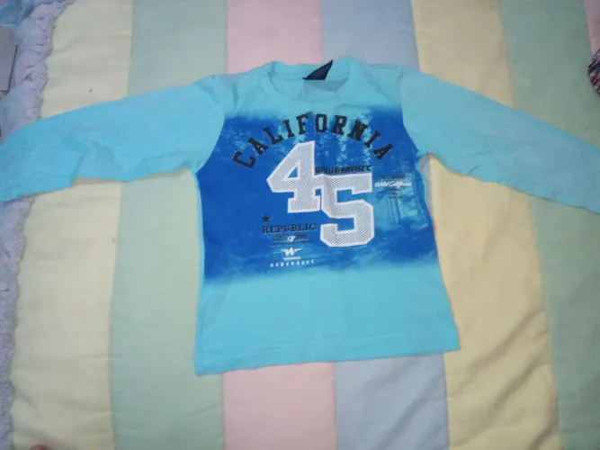 Camiseta Infantil Manga Longa -2 anos