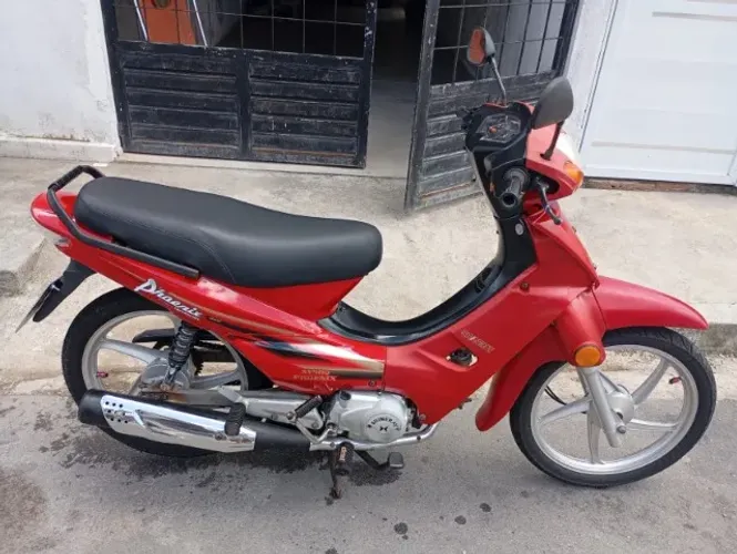 Shineray Phoenix 50 2018