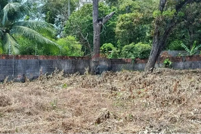 Terreno em Riacho Doce: Invista no Futuro