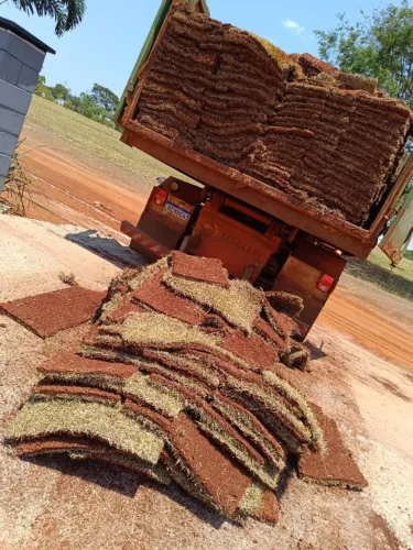 gramas ja plantadas a partir de 7 reais