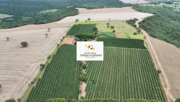 OPORTUNIDADE: 13ha pra Café a 1.000m de Altitude - Produção de Especialidade!