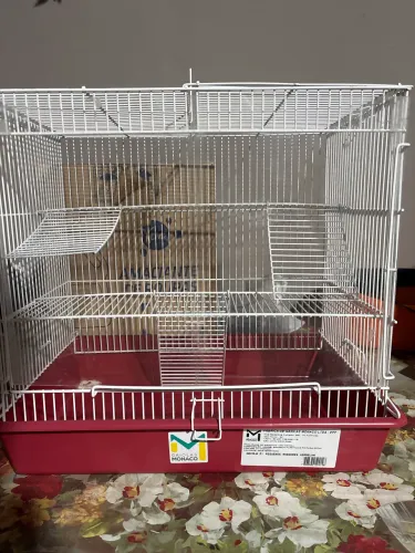 Gaiola para roedores 