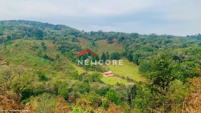 Lote em Estrada Boa Esperança - Caconde - São Francisco de Paula/RS