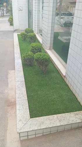 Gramas de altíssima qualidade