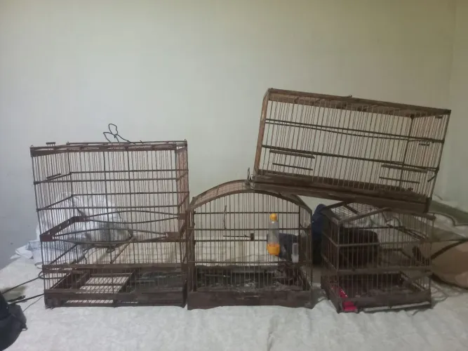 Gaiolas para passaros OLHE AS DESCRIÇÃO muito barato!