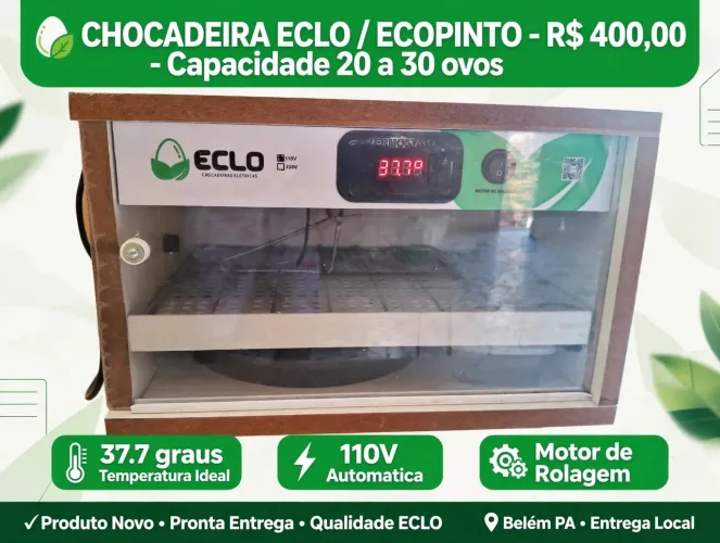 Disponível
