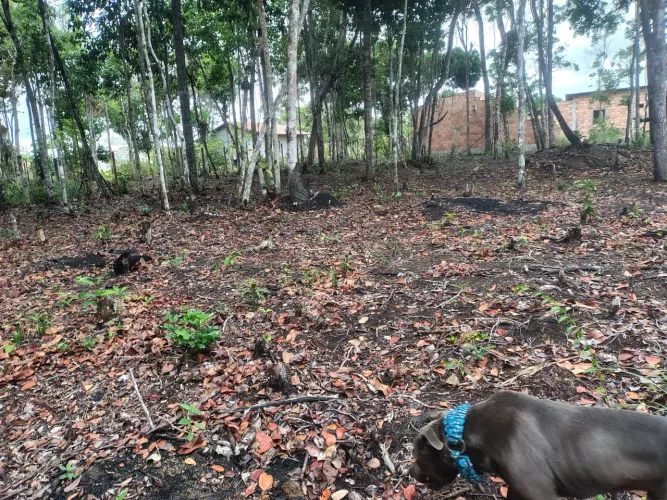 4 Lotes de 220m² em Arraial d'juda