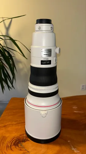 Canon 400mm 2.8 II 