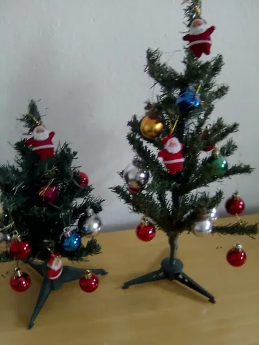 Arvores de Natal usadas