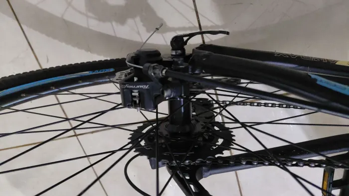 Baik  audax 