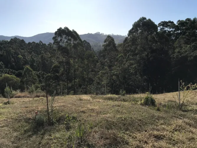 Área rural 55mil M2 no Distrito de Monte Verde, Bom Jardim - Camanducaia Mg