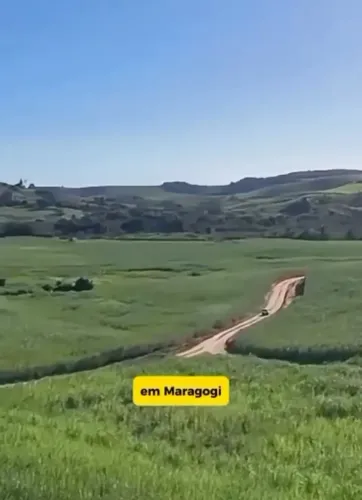 Vendemos uma Área c/387hect, toda plantada em cana-de-açúcar, fica em Maragogi-AL-R$: 30 m