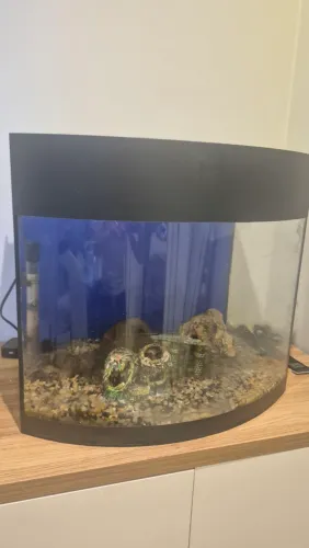 Aquário 60 litros