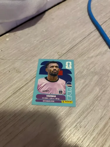 Vozinha (álbum da copa do mundo 2026 fifa)