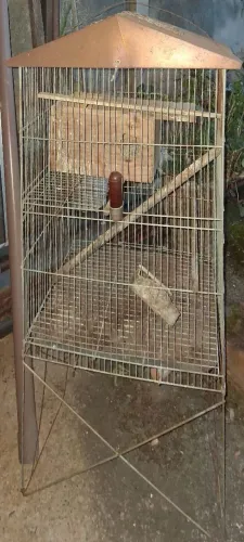 Gaiola para cslopsita