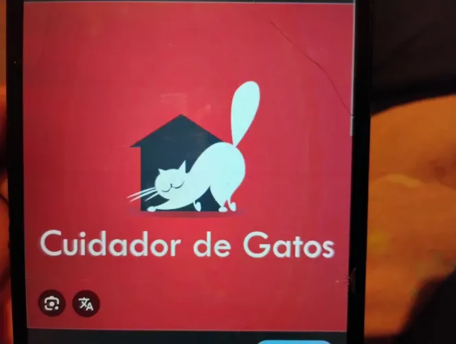 Cuidadora de cães e gatos