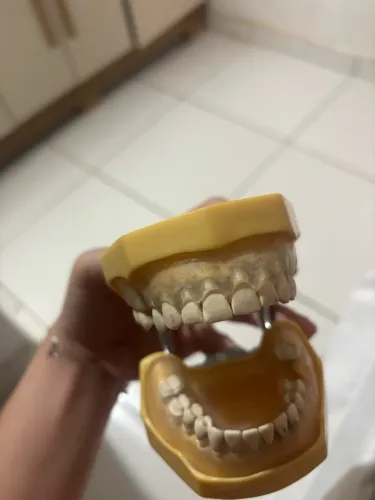 Manequim Periodontia Marília 