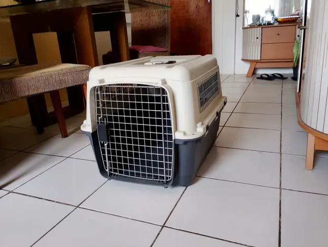 Caixa de transporte para pets, modelo M